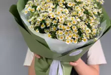 Photo of Купить цветы: как выбрать идеальный букет и подарить радость